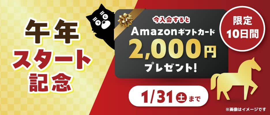 【期間限定】ワンダーボックスでAmazonギフトカード2,000円プレゼントキャンペーン開催中！